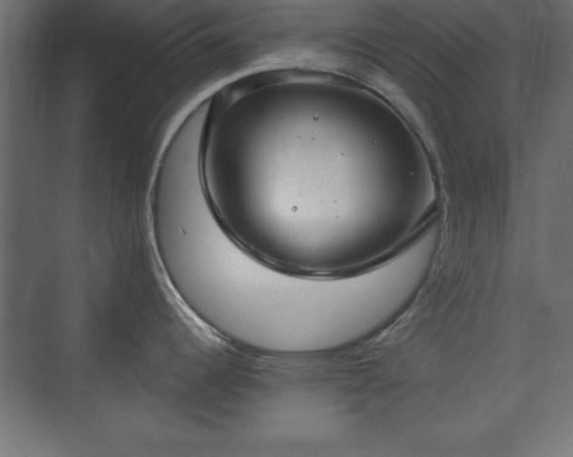 X0000073831344200608170931