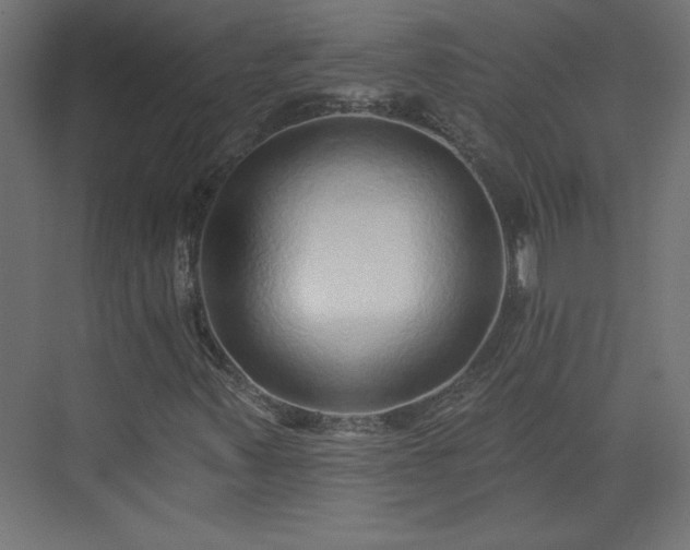 X0000073831347200608170930