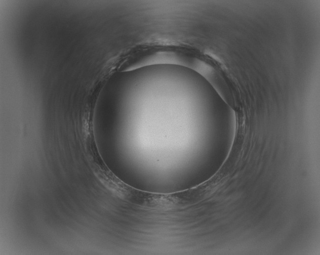 X0000073831348200608170930