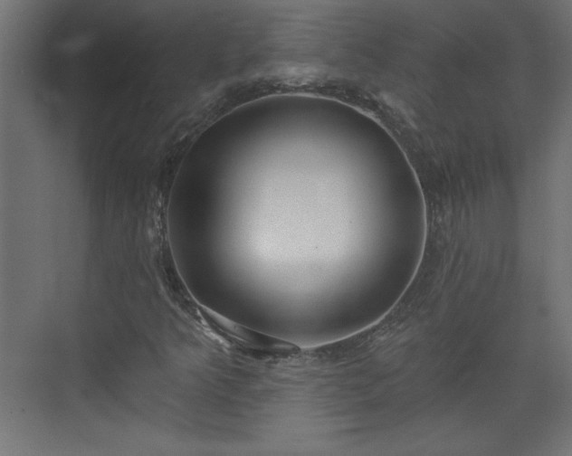 X0000073831349200608170930