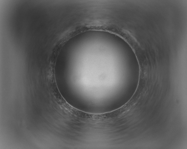 X0000073831350200608170930