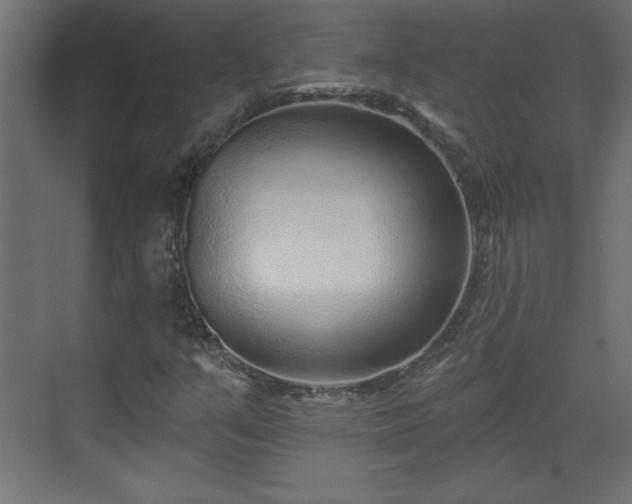 X0000073831351200608170930