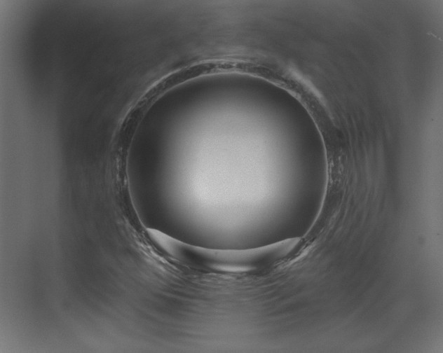 X0000073831352200608170930