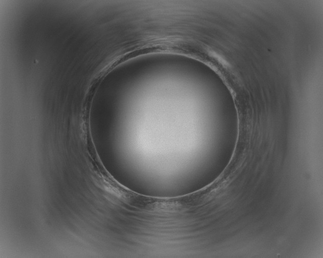 X0000073831354200608170930