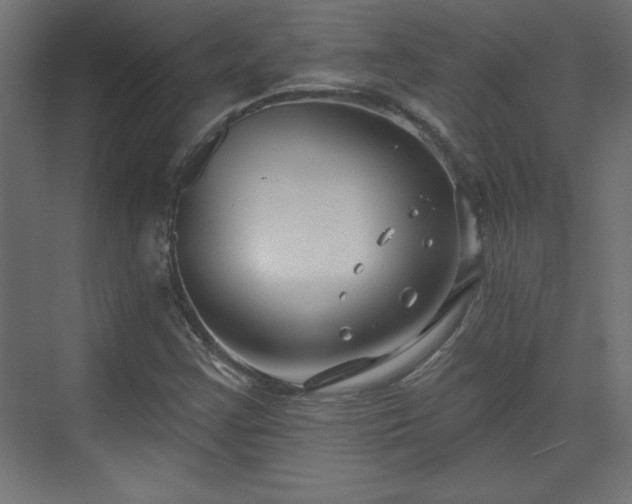 X0000073831355200608170930