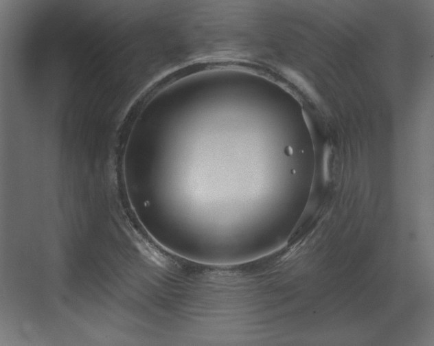 X0000073831356200608170930