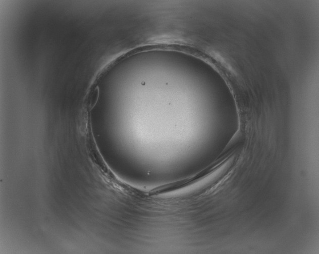 X0000073831358200608170930