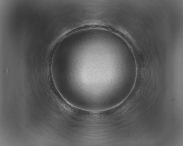 X0000073831359200608170930