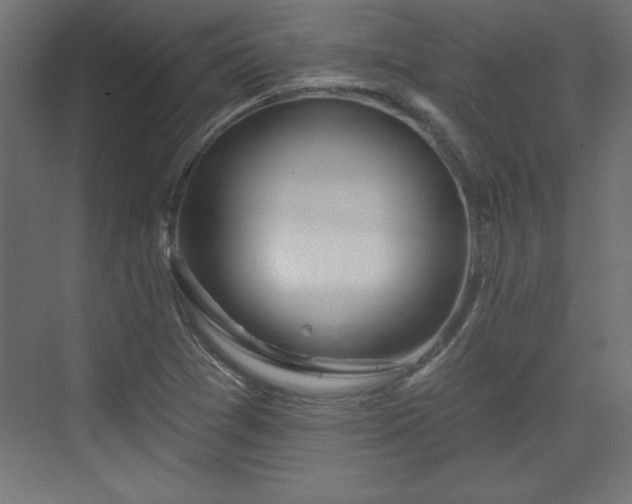 X0000073831361200608170930