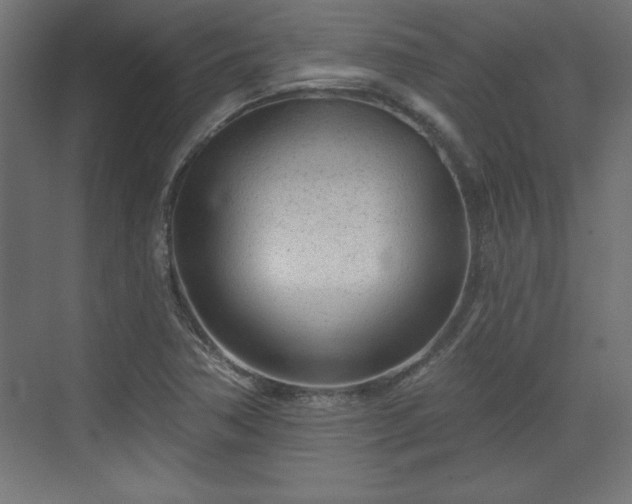 X0000073831362200608170930