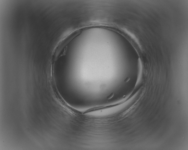 X0000073831365200608170930