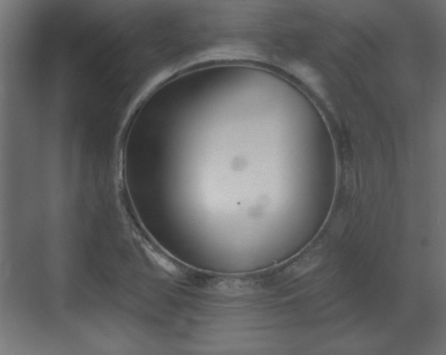 X0000073831366200608170930