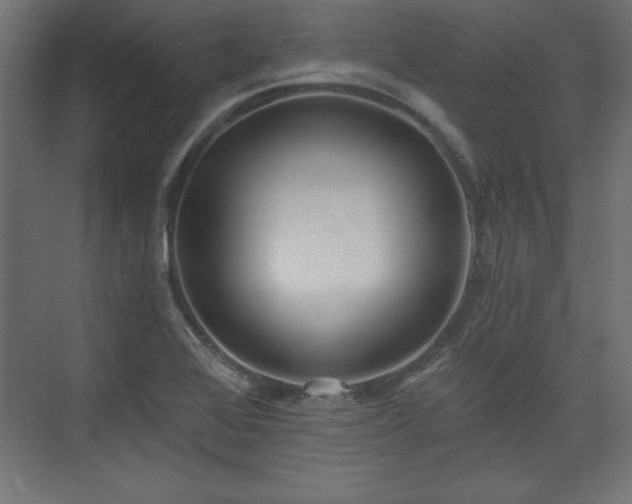 X0000073831368200608170930