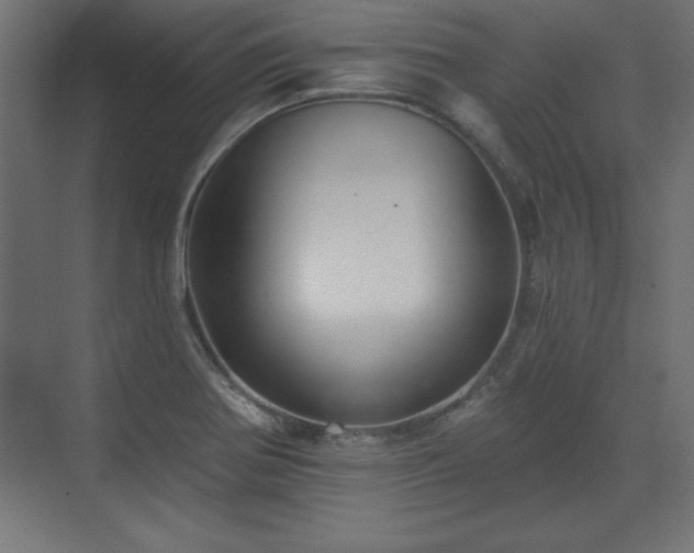 X0000073831370200608170930