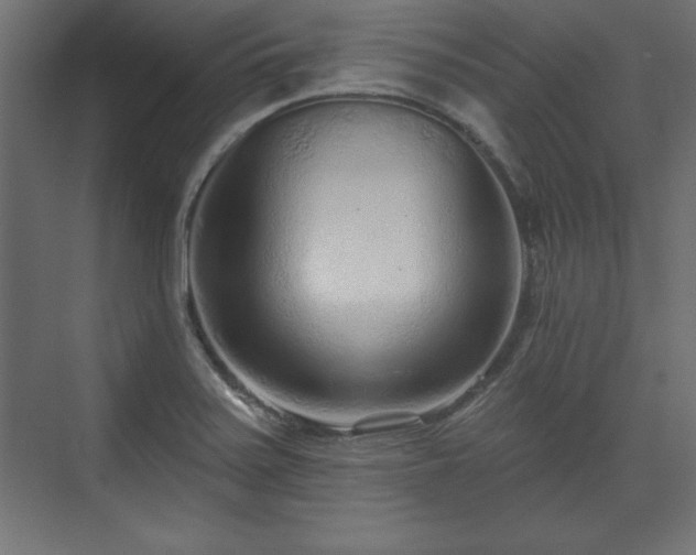 X0000073831371200608170930