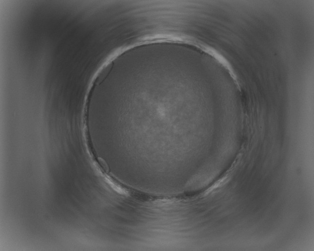 X0000073831373200608170930