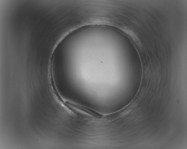 X0000073831374200608170930