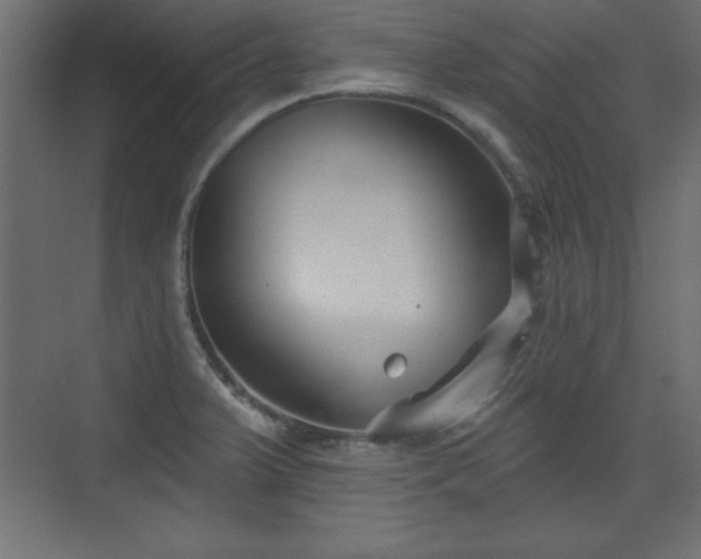 X0000073831375200608170930