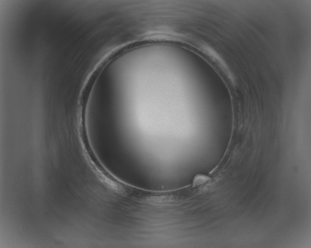 X0000073831376200608170930