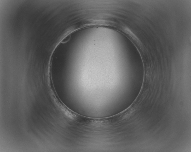 X0000073831378200608170930