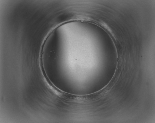 X0000073831379200608170930