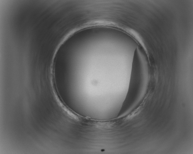 X0000073831381200608170930