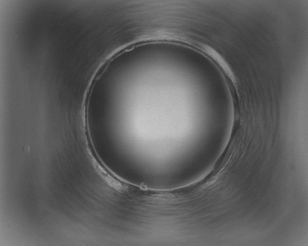 X0000073831388200608170930