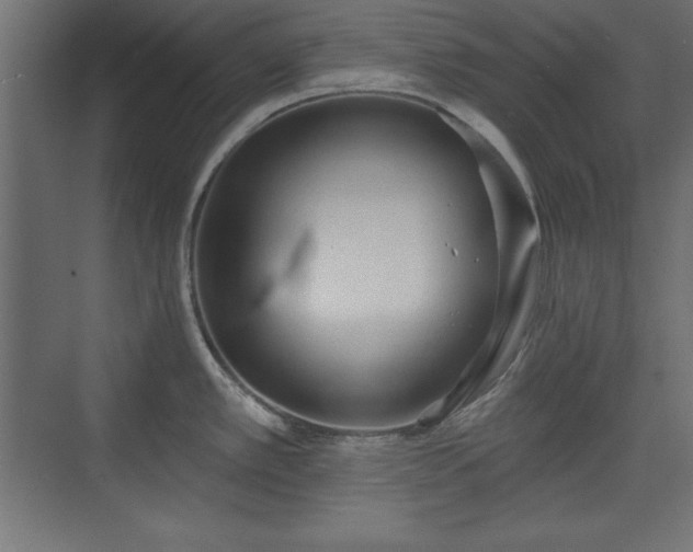 X0000073831389200608170930