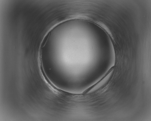 X0000073831391200608170930