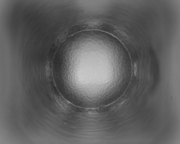 X0000073831395200608170929