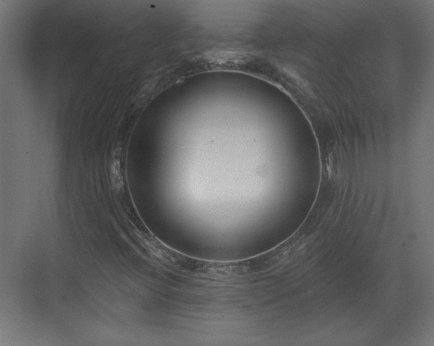 X0000073831396200608170929