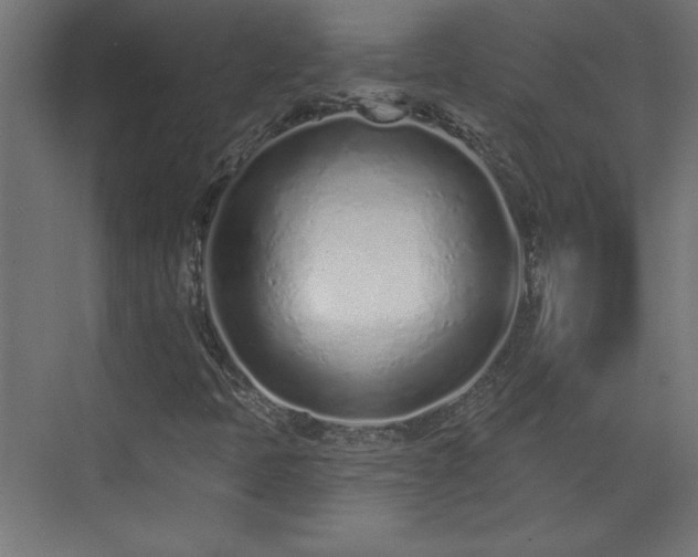 X0000073831397200608170929