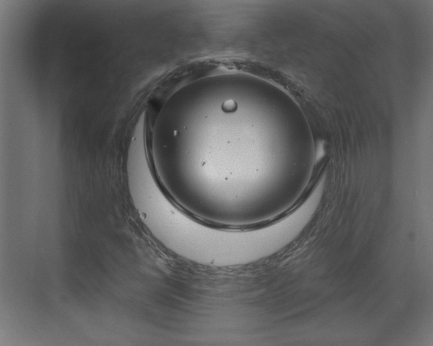 X0000073831398200608170929