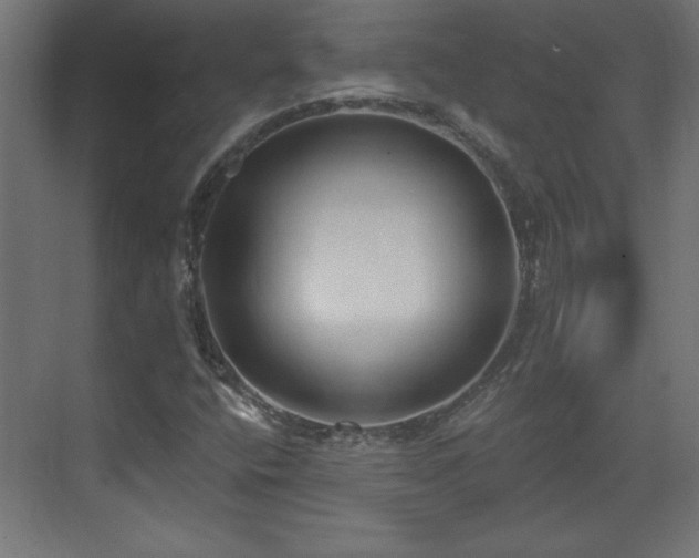 X0000073831400200608170929