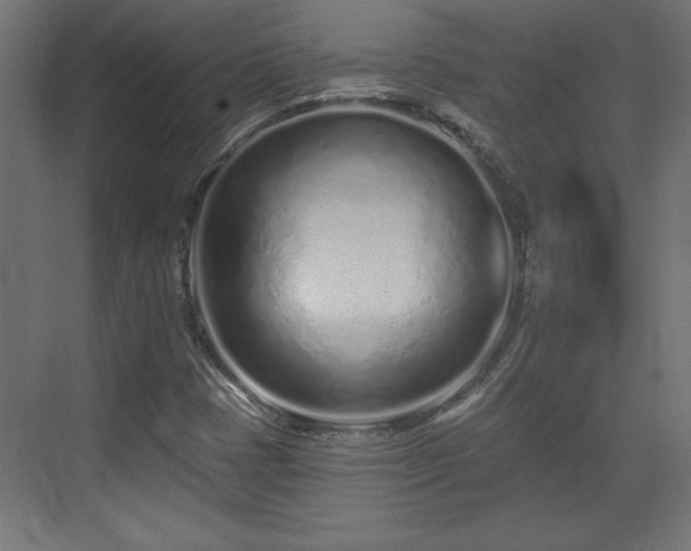 X0000073831401200608170929