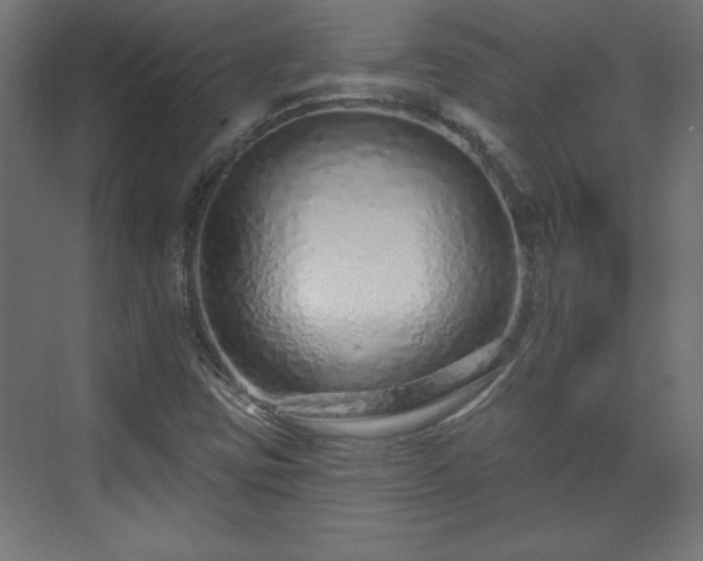 X0000073831403200608170929