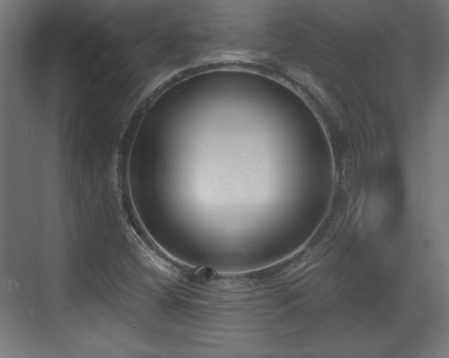 X0000073831404200608170929