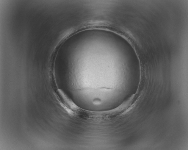 X0000073831405200608170929