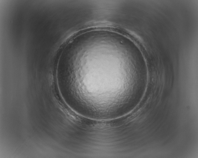 X0000073831407200608170929