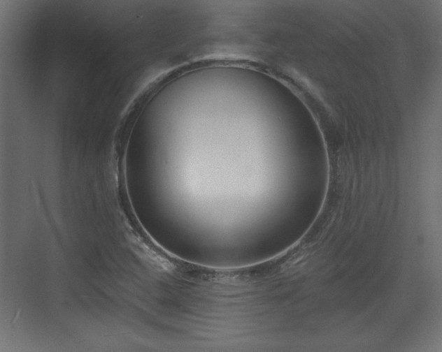 X0000073831408200608170929