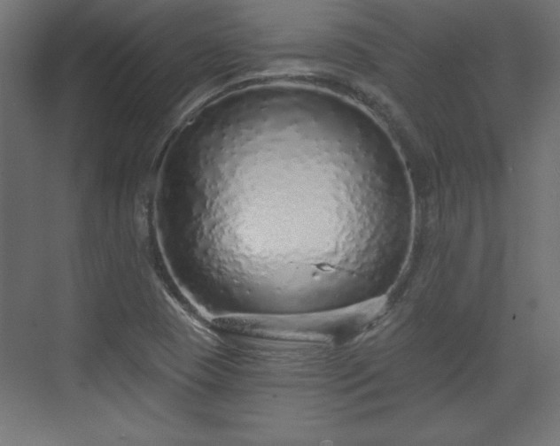 X0000073831409200608170929