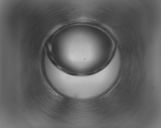 X0000073831410200608170929