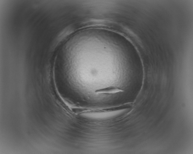 X0000073831411200608170929