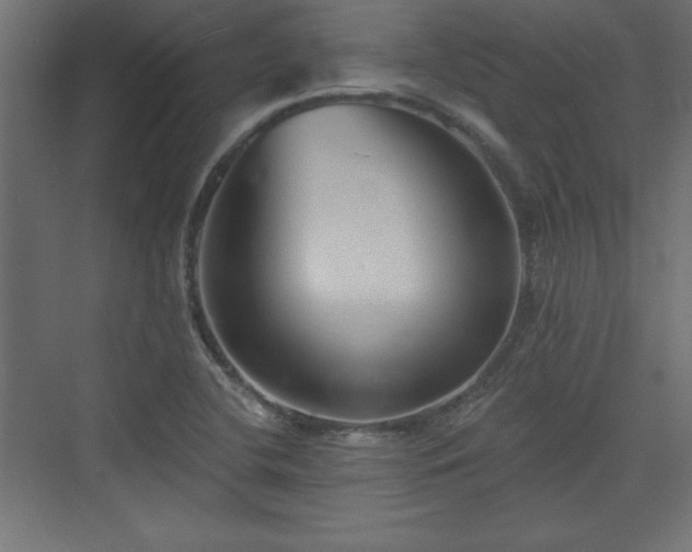 X0000073831412200608170929