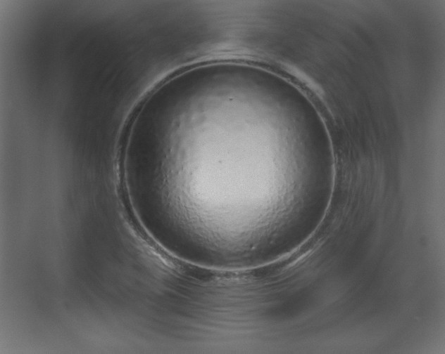 X0000073831415200608170929