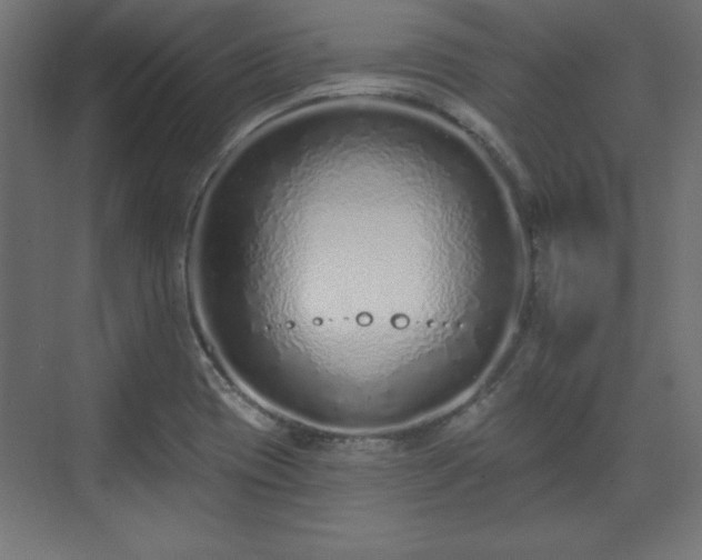 X0000073831417200608170929