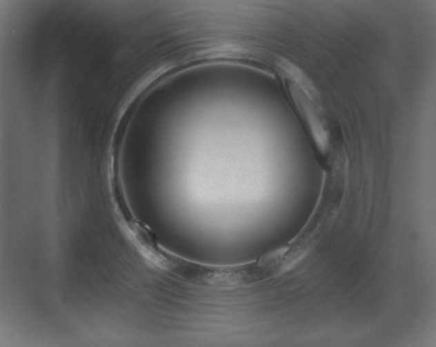 X0000073831418200608170929