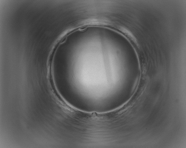 X0000073831419200608170929