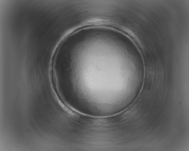 X0000073831421200608170929