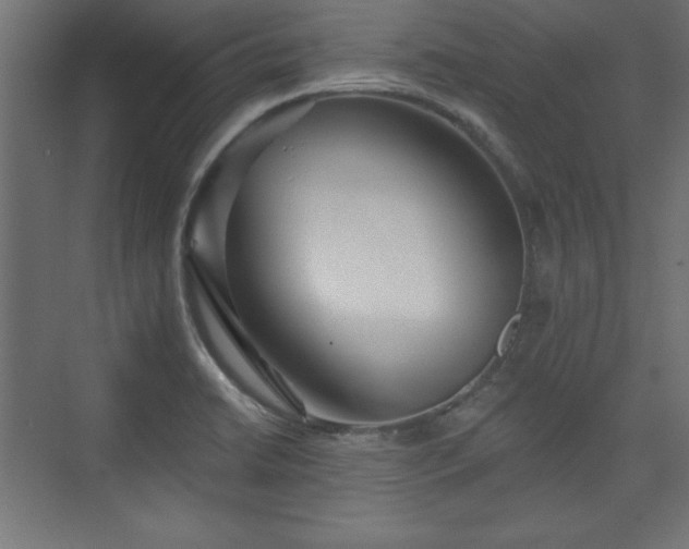 X0000073831422200608170929